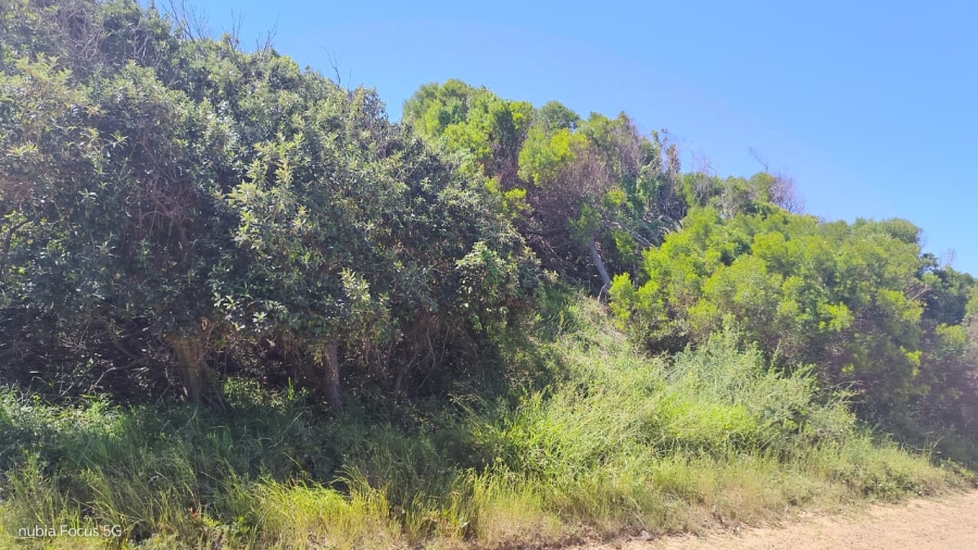 Commercial Property for Sale in Paradise Beach Eastern Cape